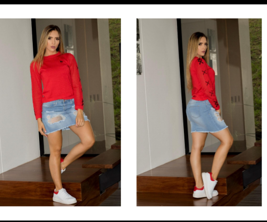 Falda 2301
