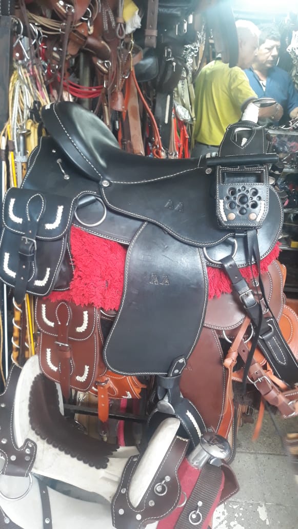 Silla de Montar Galapago