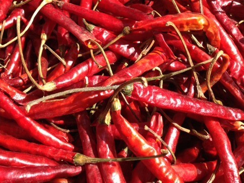 Chile puya