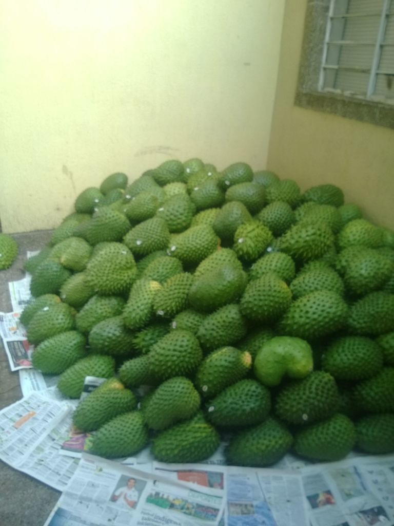 guanabana