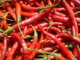 Chile de arbol