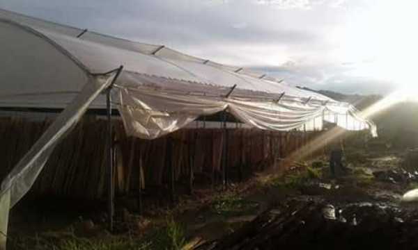 construccion de  invernaderos