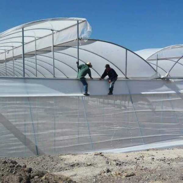 plasticamos invernaderos