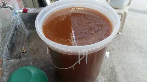 MIEL DE ABEJAS POR PIMPINA