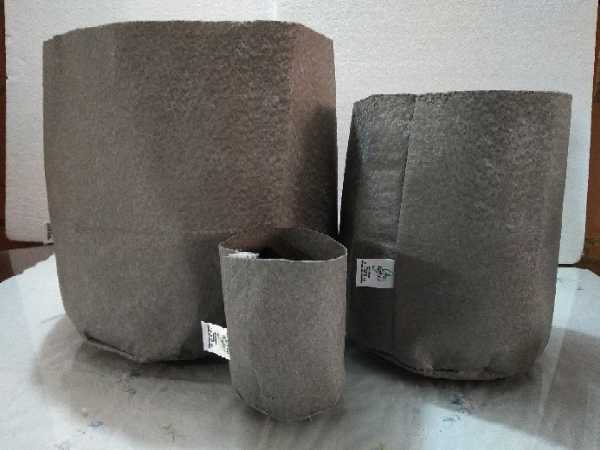 Geomacetas