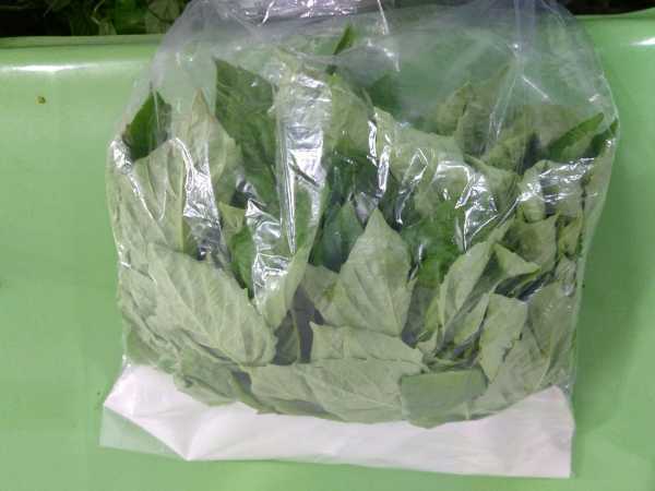 Albahacon