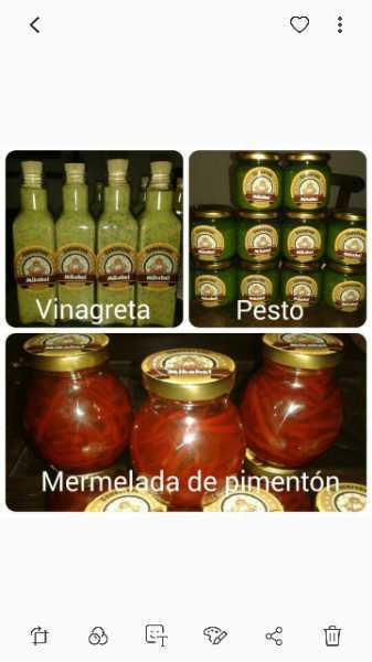 Salsas y Vinagretas 100 por ciento naturales