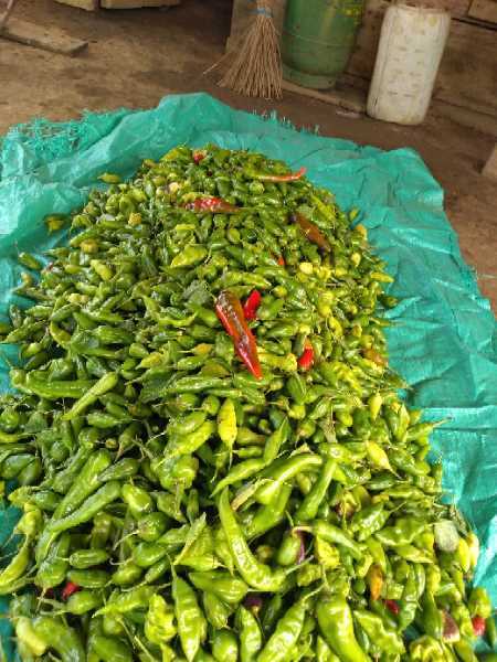 aji dulce