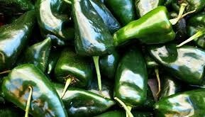 Chile ancho