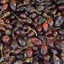 Chile cascabel