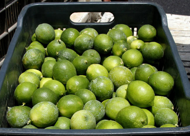 Limon de castilla