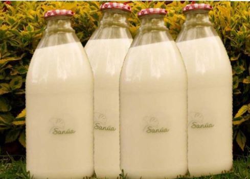 Leche de Almendras x Litro