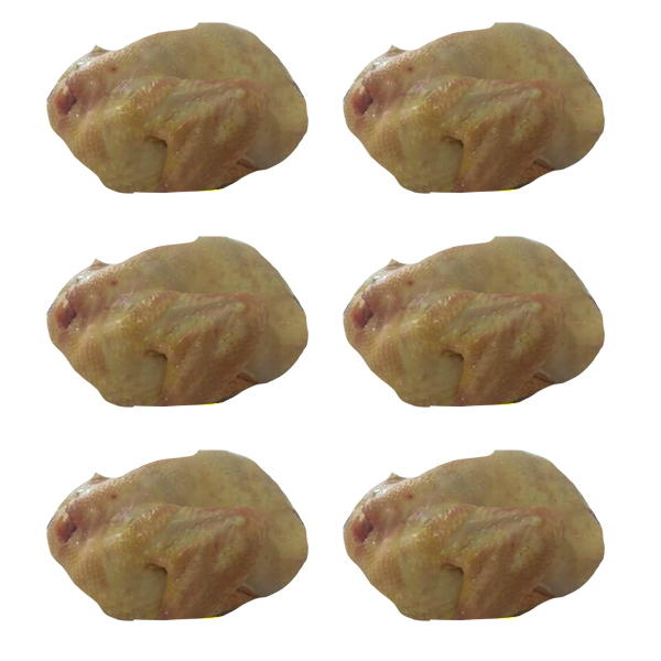 Pollo Semi - Criollo