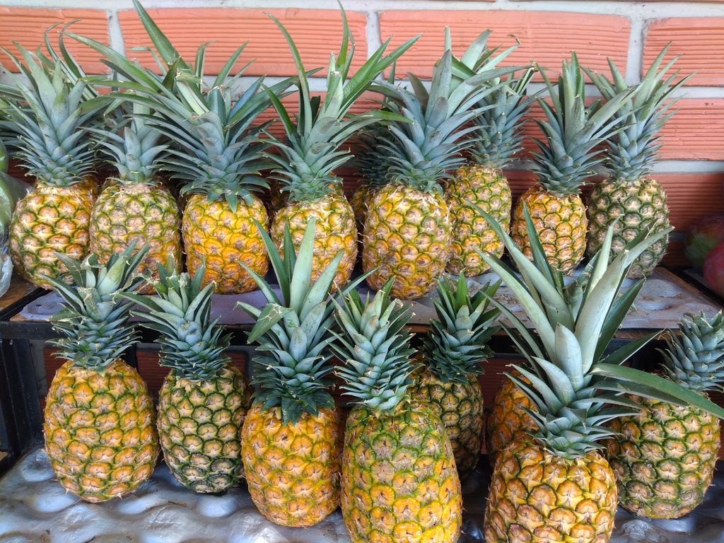 Piña oromiel
