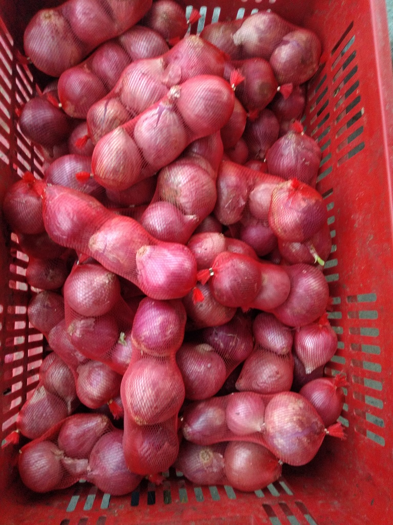 Cebolla roja malla