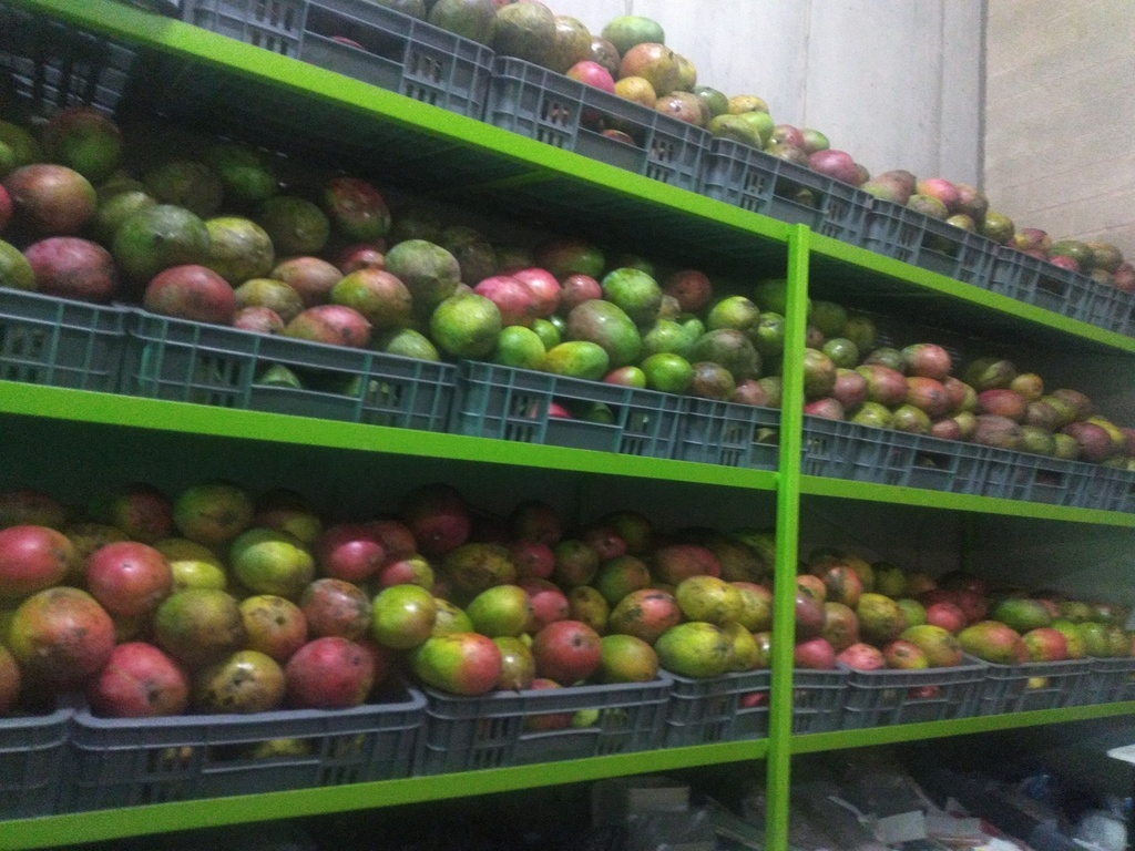 Mango farchi