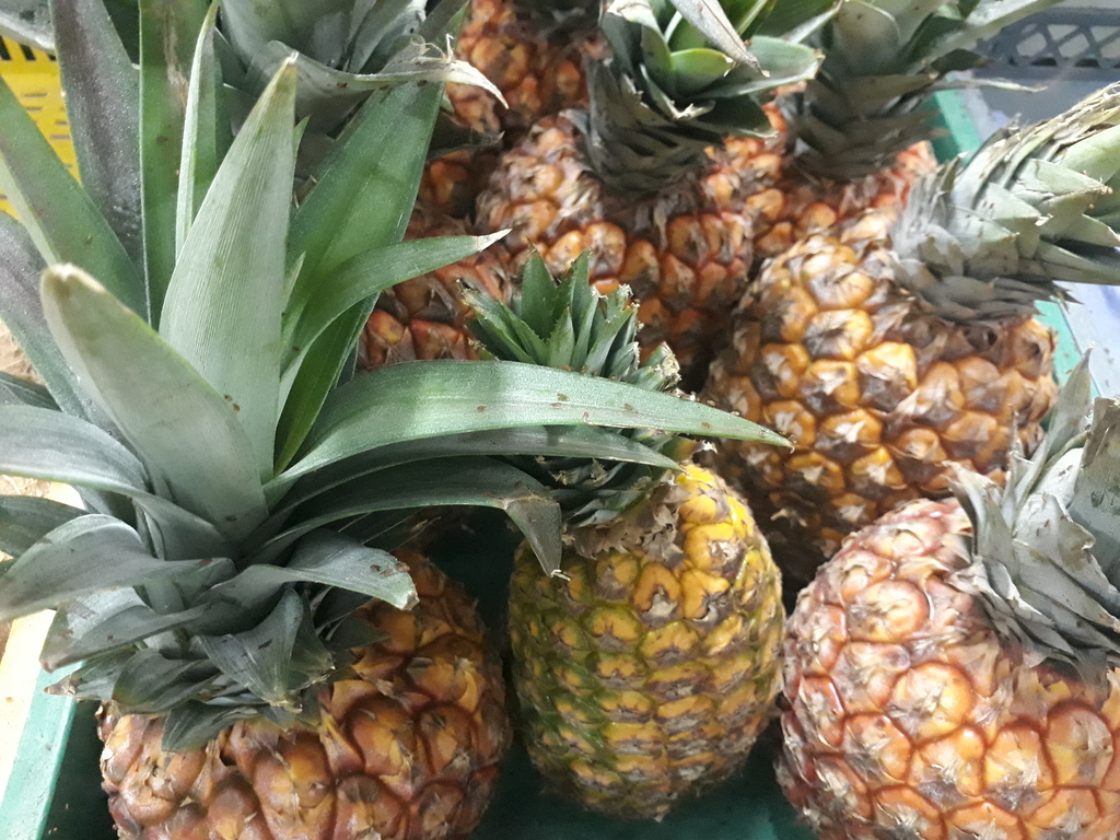 Piña pareja
