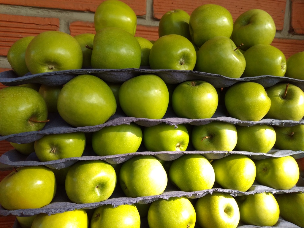 Manzana verde