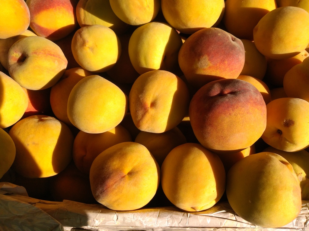 Durazno criollo