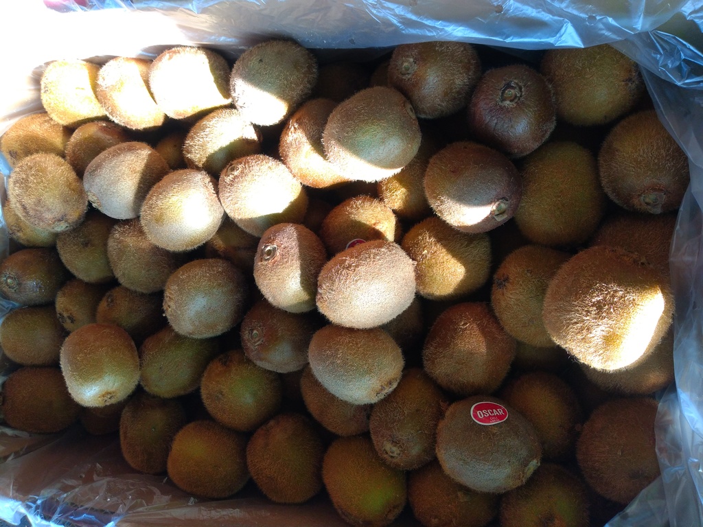 Kiwi