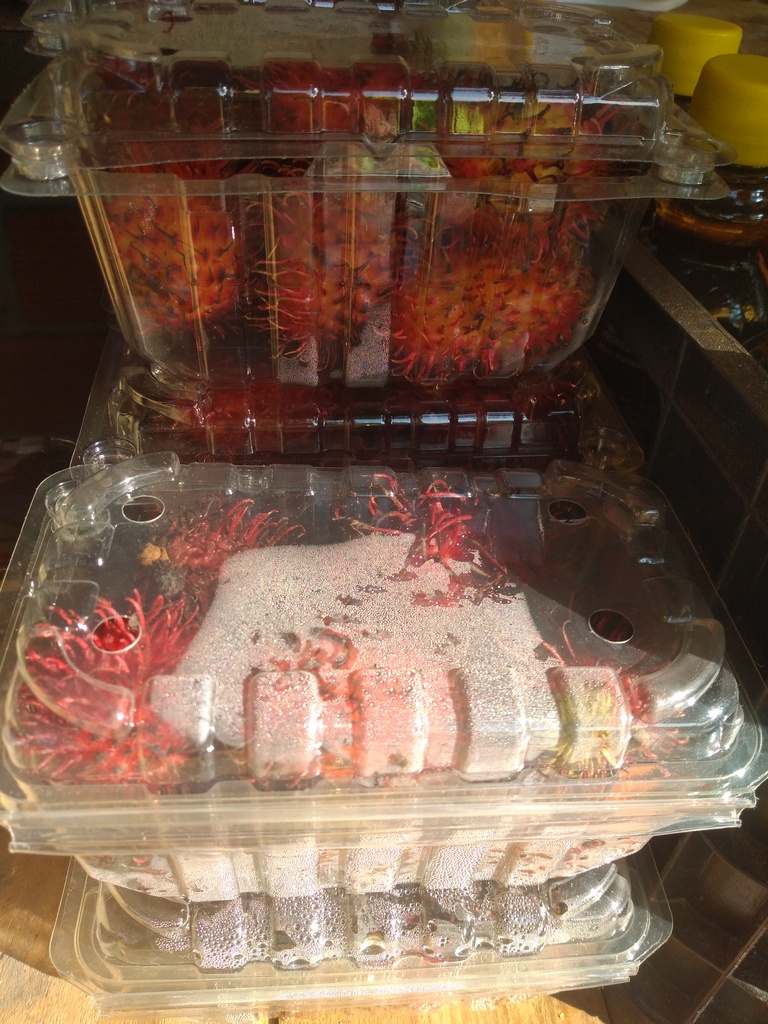 Rambutan
