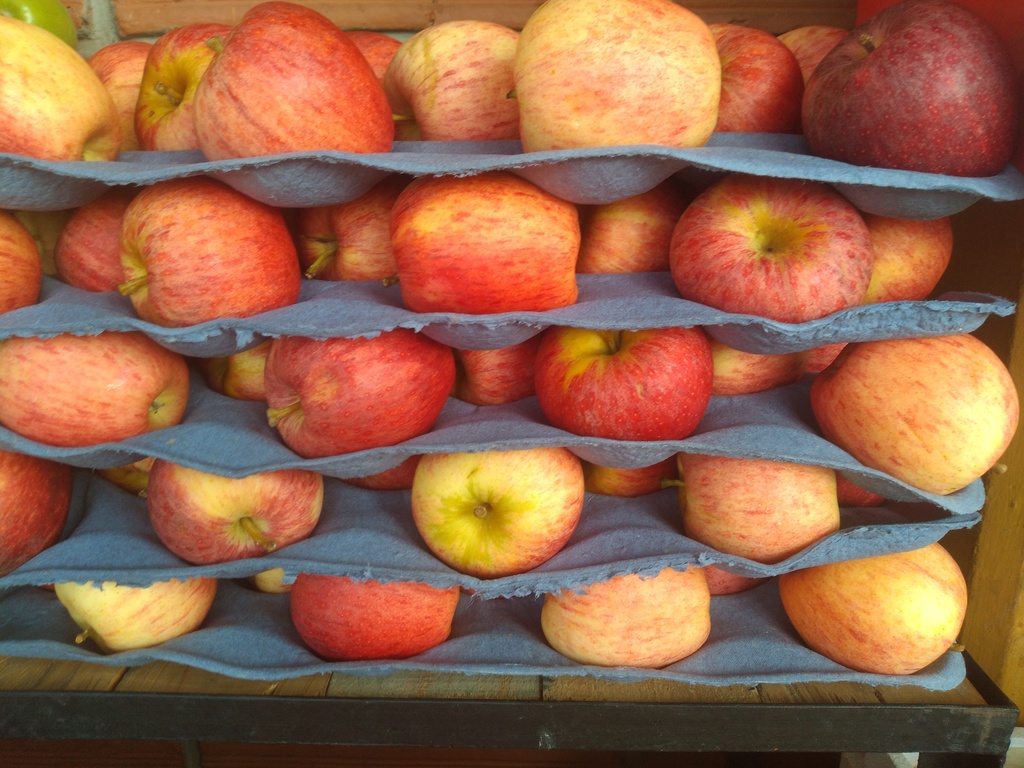Manzana gala