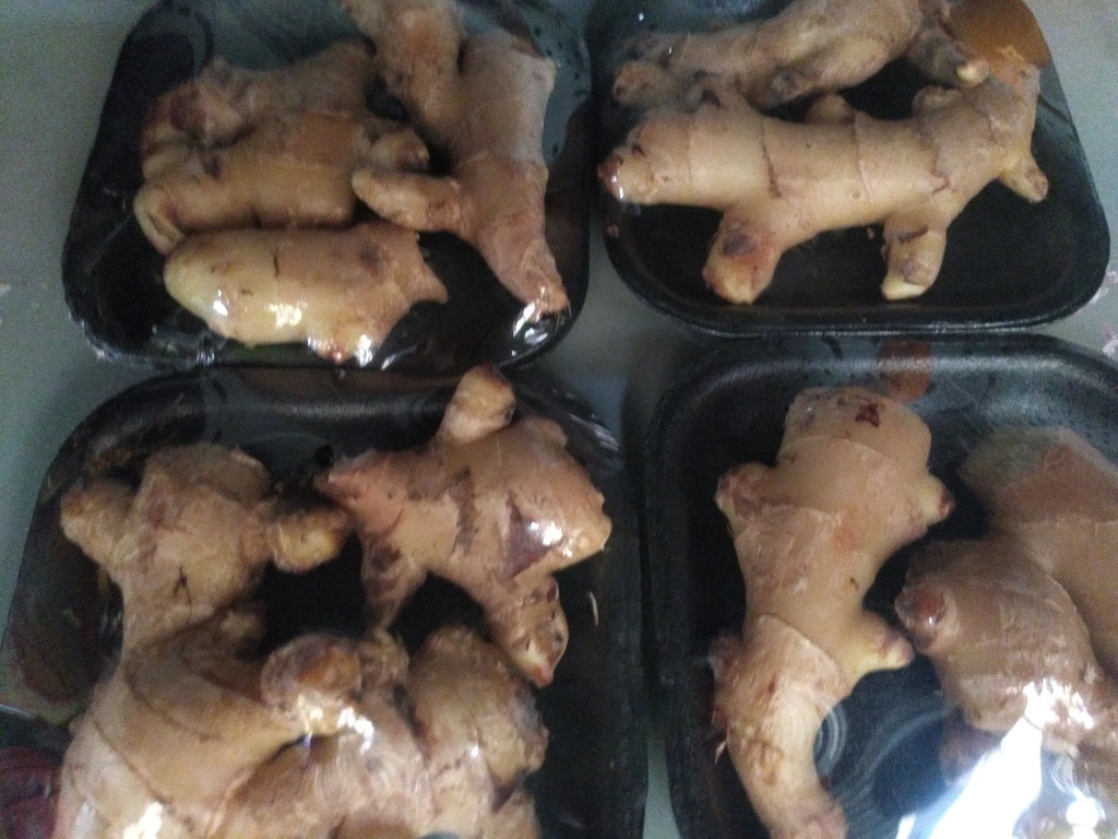 Jengibre bandeja