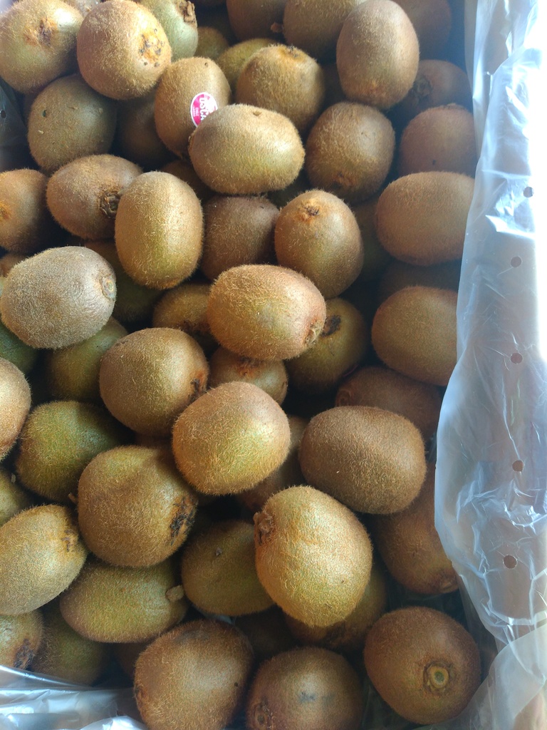 Kiwi