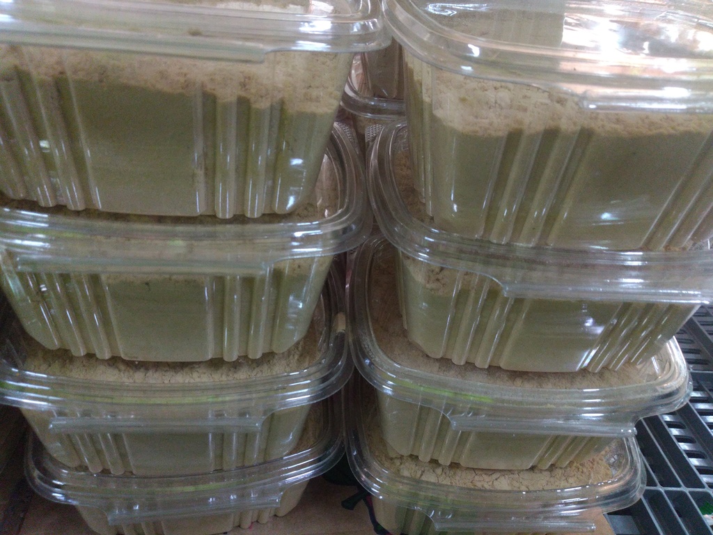 Algarroba en polvo bandeja