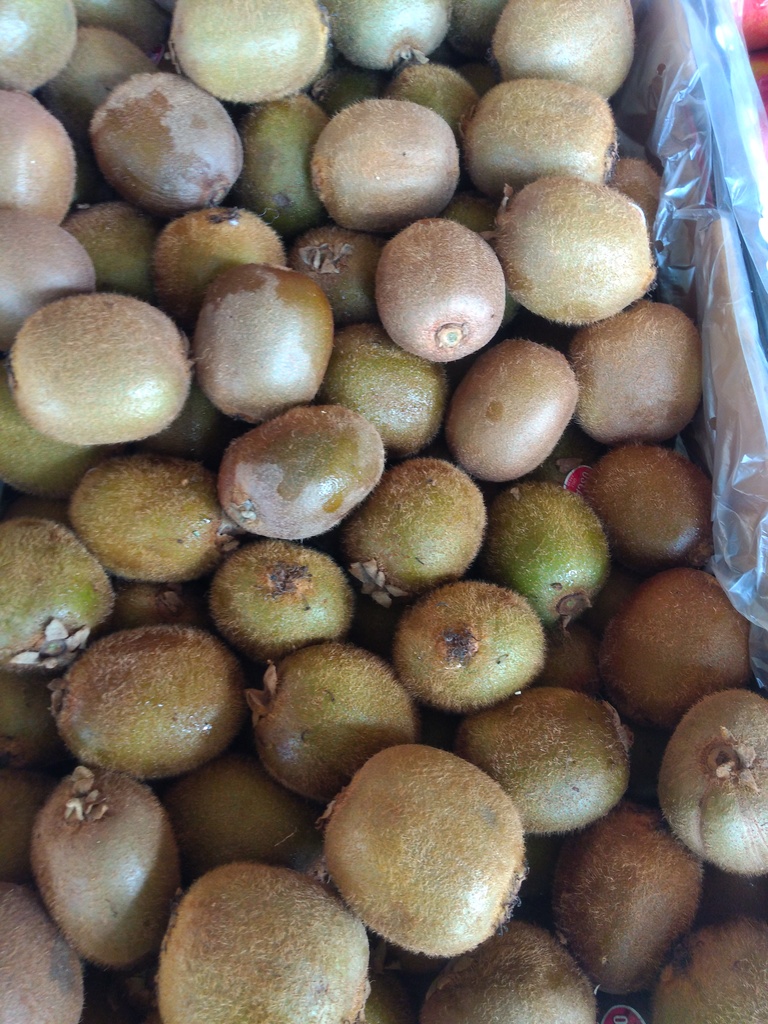 Kiwi