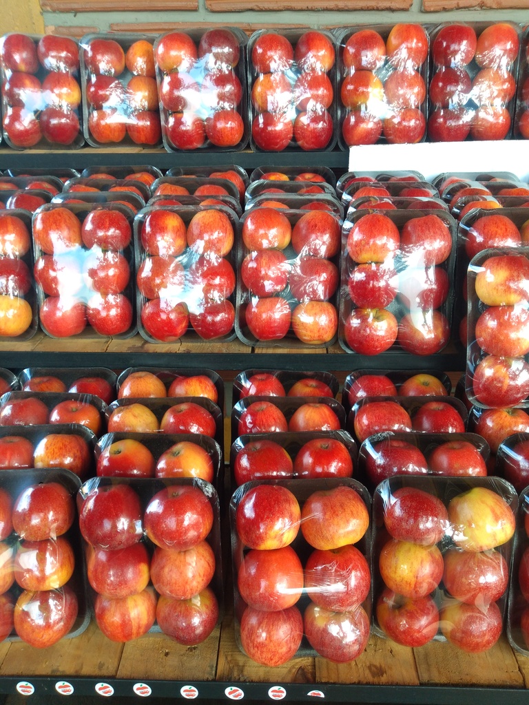 Manzana gala bandeja