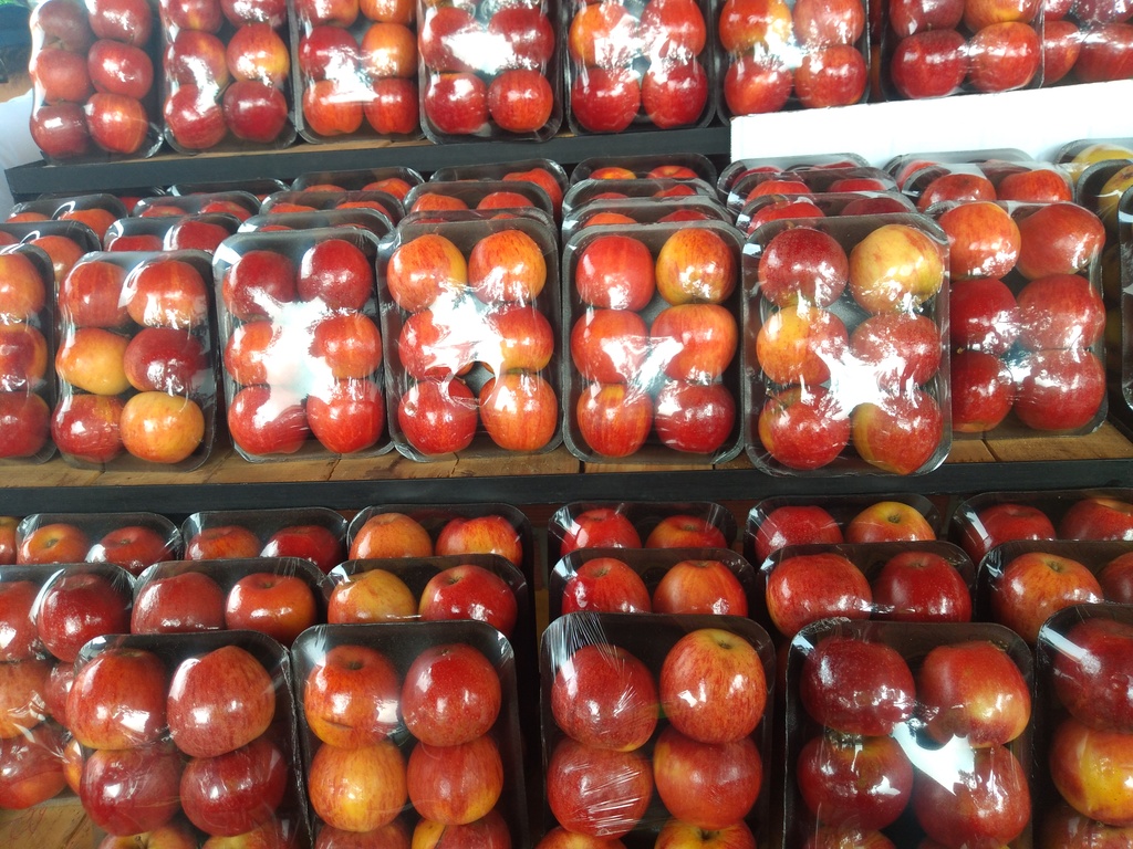 Bandeja manzana gala