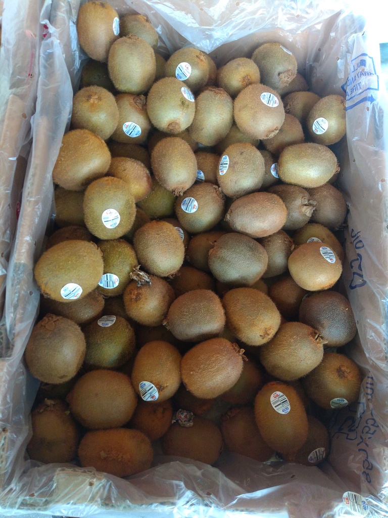 Kiwi