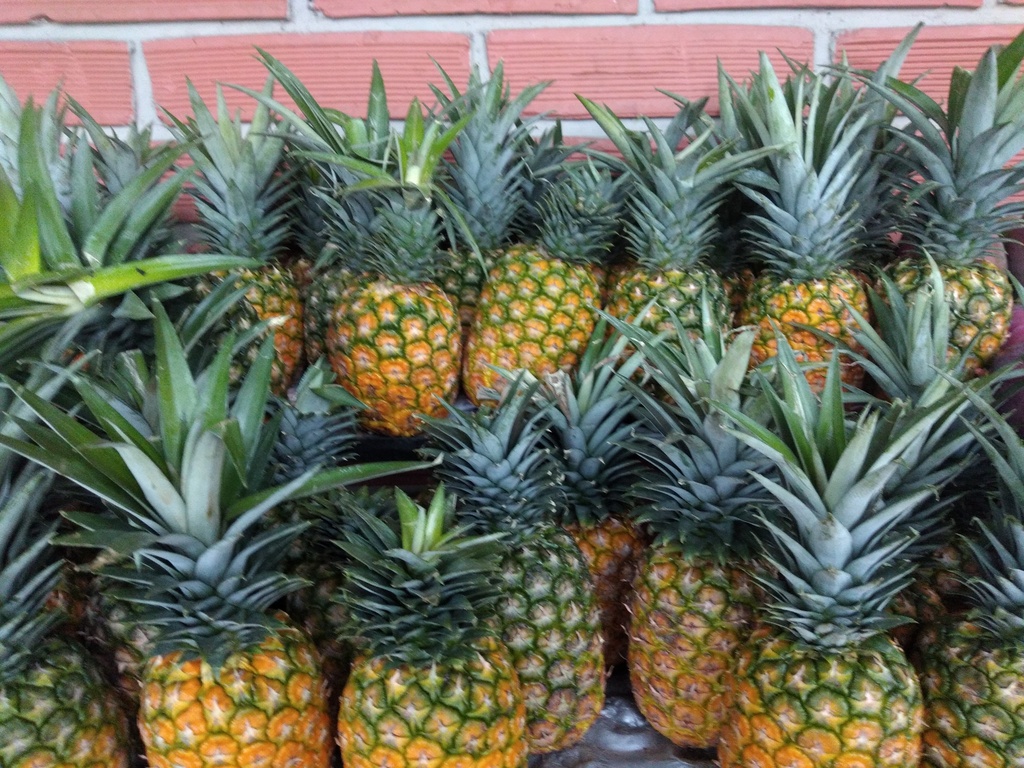 Piña oromiel