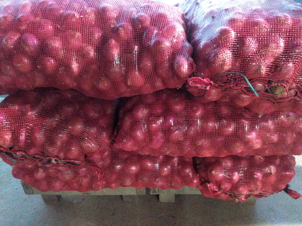 Cebolla roja importada x 44 kg