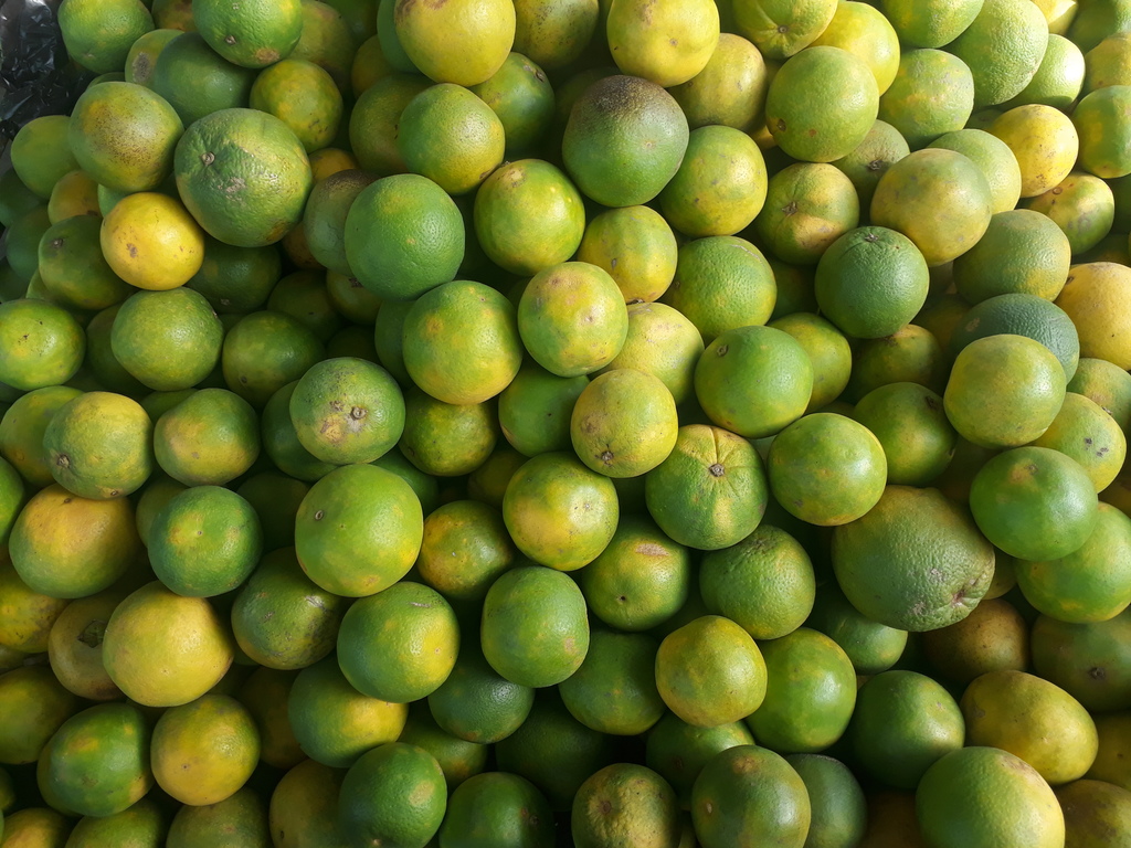 Naranja cerana