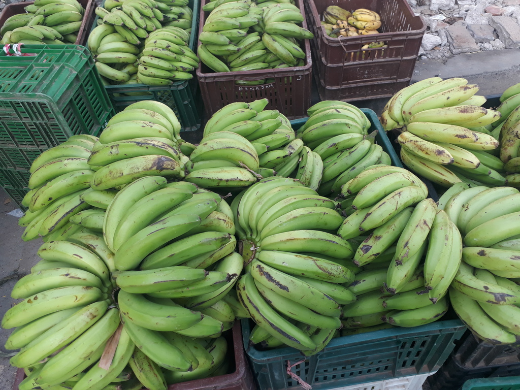 Banano verde cerano