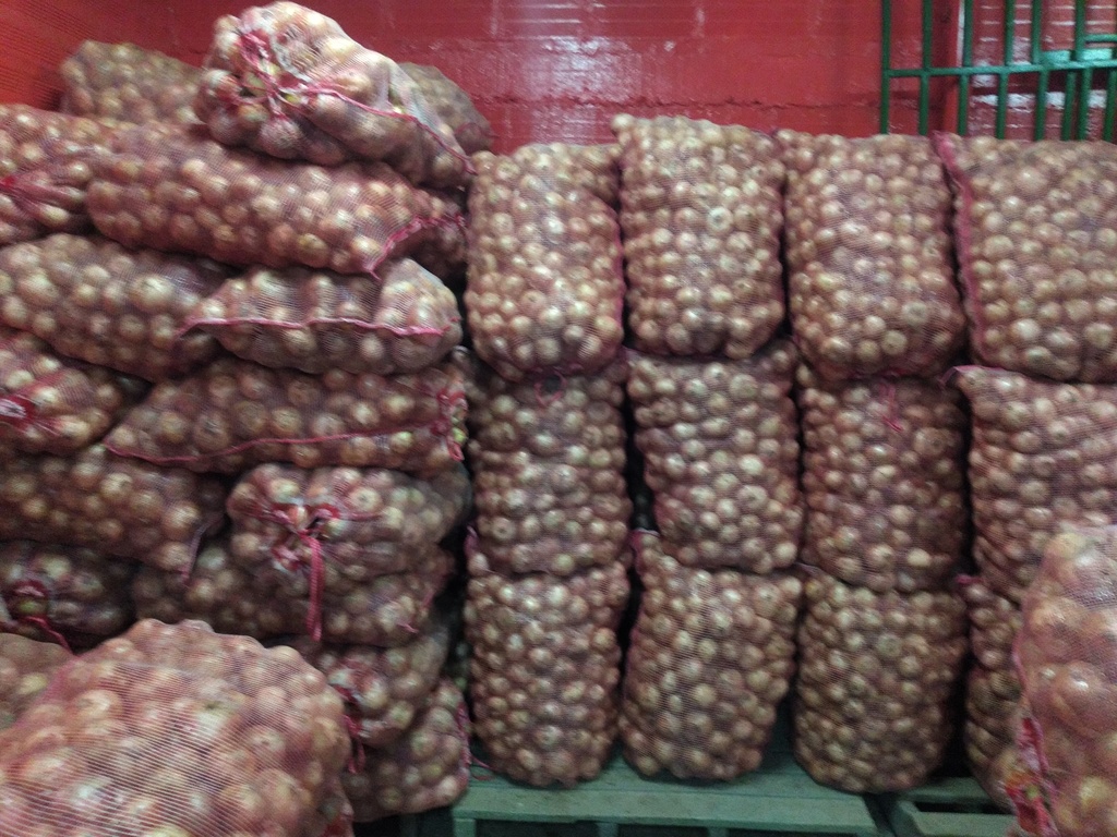 Cebollan blanca bulto x 48 kg