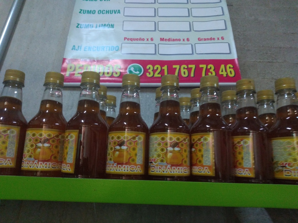 Miel Dinámica x 500 gm