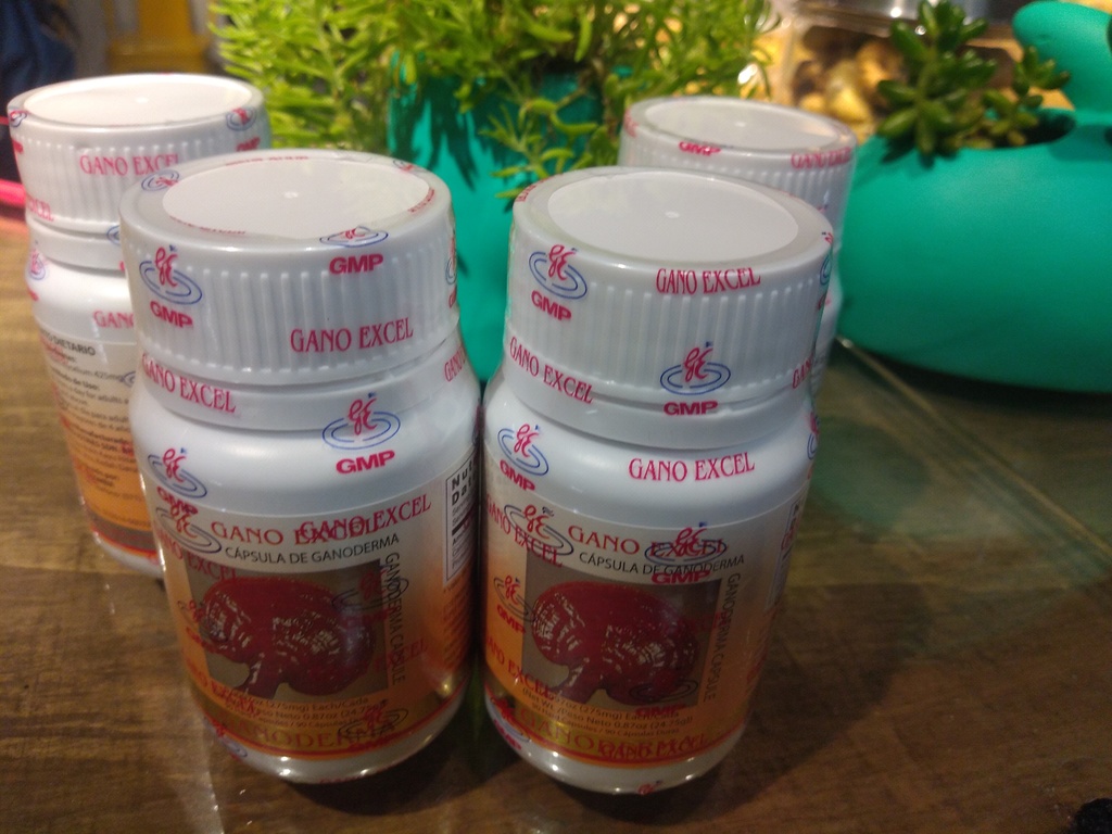 Cápsulas ganoderma frasco x 90