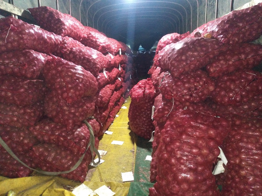 Cebolla roja peruana