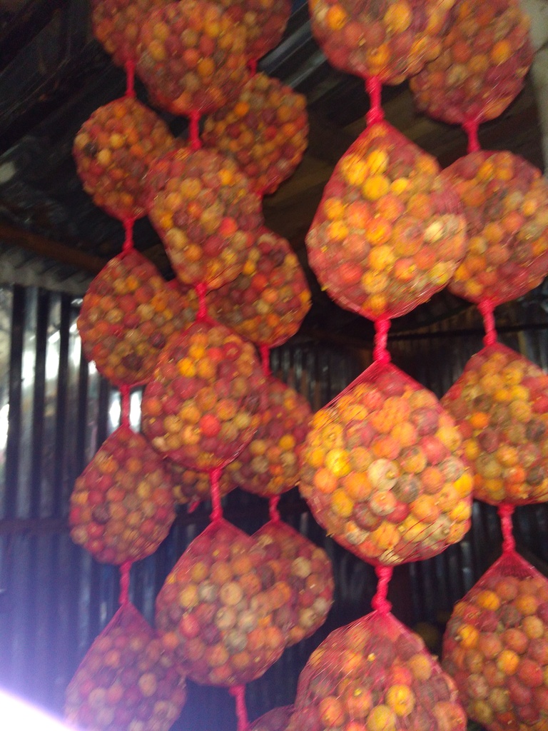 Corozo malla