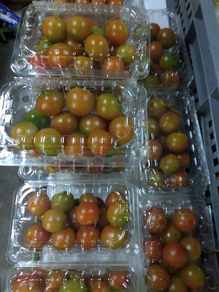 Tomate cherry domo x 250 gm