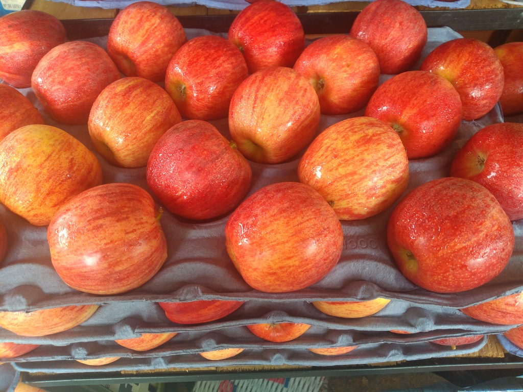 Manzana gala