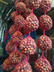 Corozo