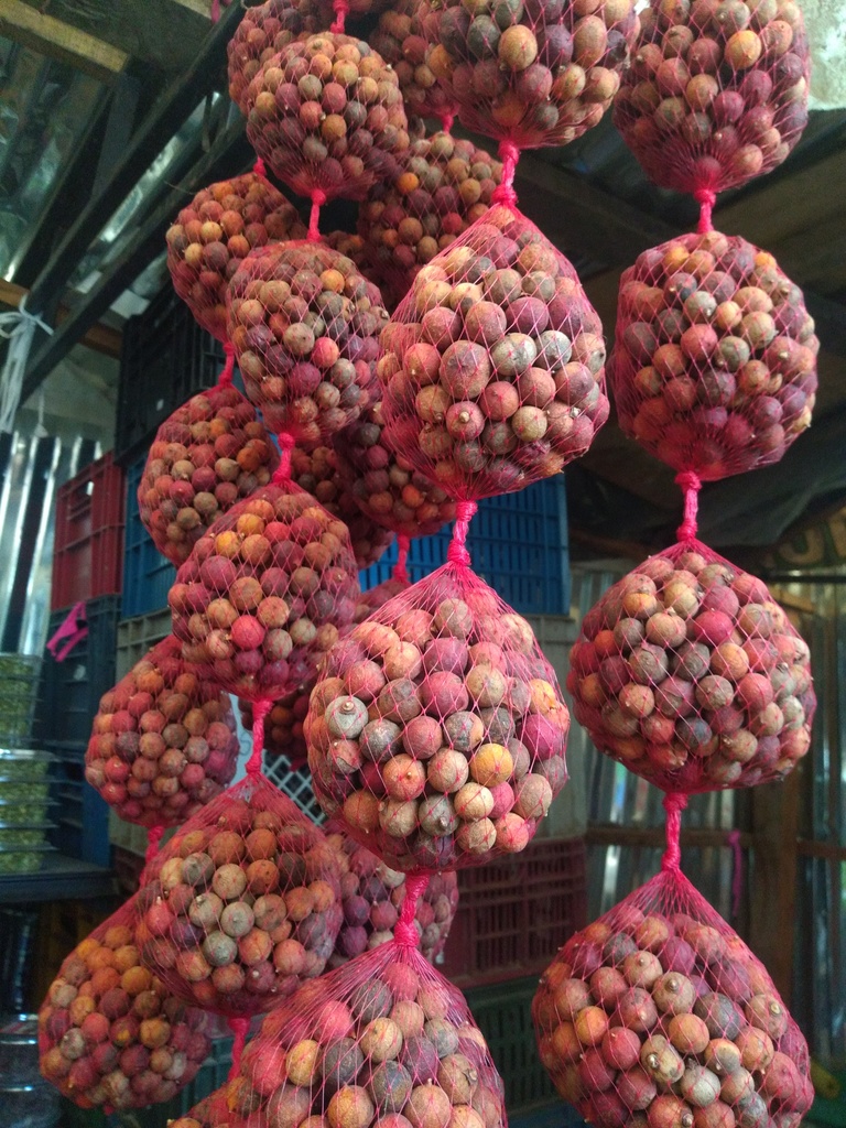 Corozo