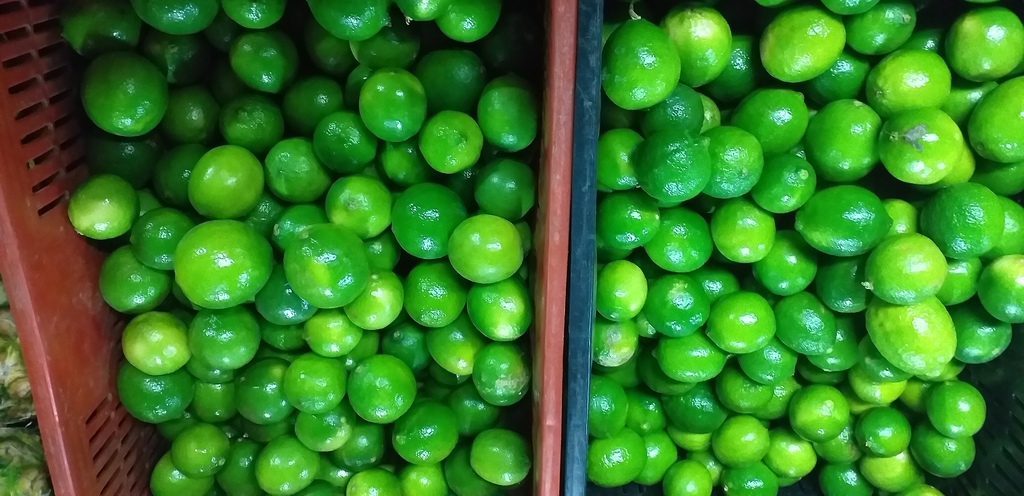 Limon tahiti