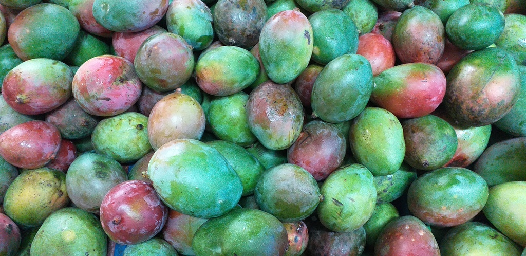 Mango farchi
