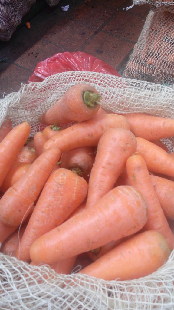 Zanahorias