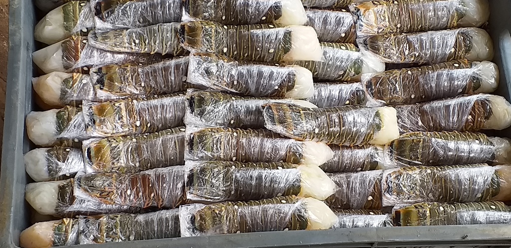 Cola de Langostas congeladas mariscos pescados